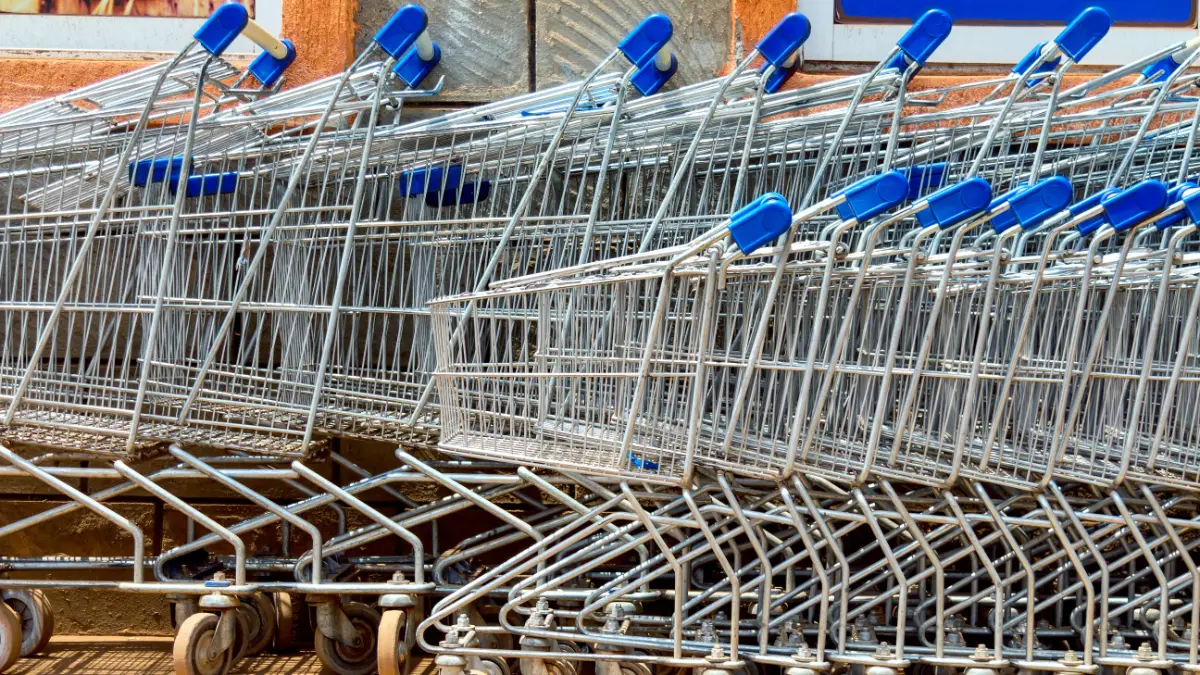 Des chariots de supermarchés.